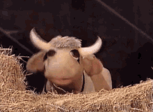 Sesame Street Gladys GIF - Sesame Street Gladys Gladys The Cow GIFs