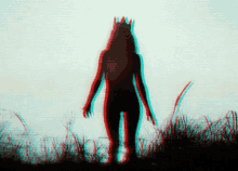a woman with a crown on her head stands in a field of tall grass