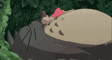 Totoro Sleep GIF - Totoro Sleep Sleeping GIFs