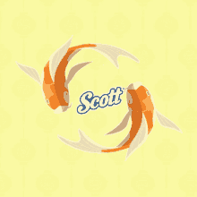 My Scott Cny Fish GIF - My Scott Cny Scott Cny Fish GIFs