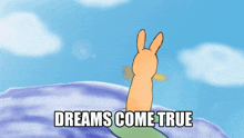 The Rabbit And The Carrot Dreams Come True GIF