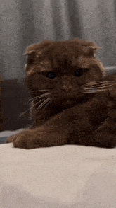 Sad Sad Cat GIF - Sad Sad Cat Cat GIFs
