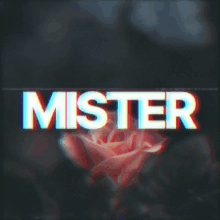 Mister GIF - Mister GIFs