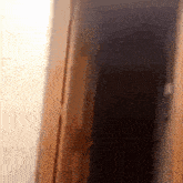 a blurry picture of a person walking through a doorway