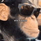a chimpanzee wearing sunglasses is making a funny face .