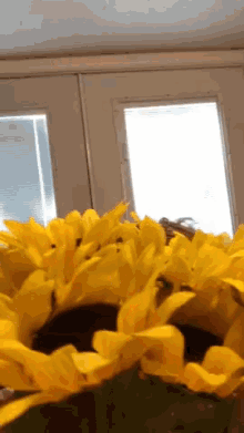 Sunflower Yellow GIF - Sunflower Yellow Flowers For You GIFs
