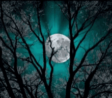 Full Moon Love GIF