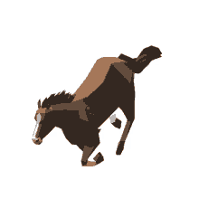 horse spin