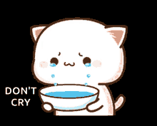 Cute Cat Crying GIF - Cute Cat Crying Tears GIFs