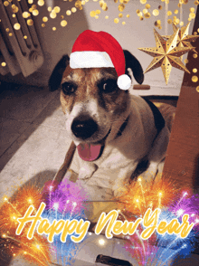 Dog New Year GIF - Dog New Year Buon Natale 2023 GIFs