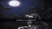 Wallahi GIF - Wallahi GIFs