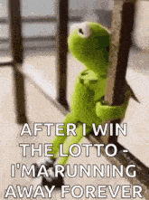 Sussa GIF