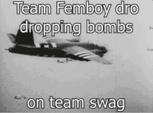 Team Femboy Team Swag GIF