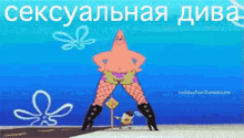 губкабоб патрик секси сексульно танец GIF - Gubka Bob Sponge Bob Patrick GIFs