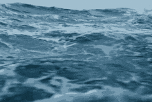 Ozean Sea GIF