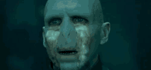 Voldemort Does Have Emotions. GIF - Harry Potter Lord Voldemort Ralph Fiennes GIFs