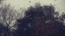 Rain Raining GIF - Rain Raining Storm GIFs