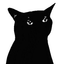 Cat Black GIF - Cat Black Meow GIFs