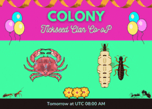 Colony Announement Fun Coop GIF - Colony Announement Fun Coop Pocket Ants Fun GIFs