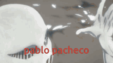 Pablo Pacheco GIF - Pablo Pacheco Pablo Pacheco GIFs
