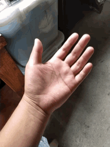 Hand Gesture GIF - Hand Gesture GIFs