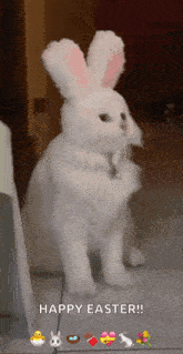 a white cat wearing bunny ears is standing on a tiled floor .