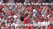 Yadier Molina Cardinals GIF - Yadier Molina Molina Yadi GIFs