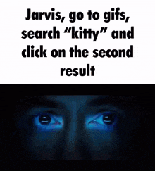 Jarvis Kitty GIF - Jarvis Kitty Iron Man GIFs