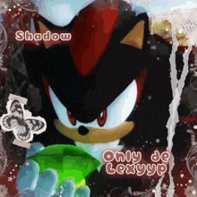 shadow the hedgehog is holding a green emerald in his hand