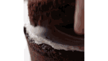 a close up of a person frosting a chocolate cake .