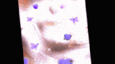 purple butterflies and hearts are floating in the air on a white background .