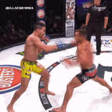 Punch Knock Out GIF - Punch Knock Out Fight GIFs