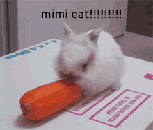 Mimi Miyo GIF - Mimi Miyo Mimi Eat GIFs