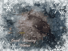 Good Morning Turkey GIF - Good Morning Turkey Snow GIFs