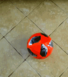 Ball Kick GIF - Ball Kick Soccer GIFs