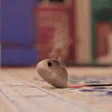 Mouse Steamy GIF - Mouse Steamy Toasted GIFs