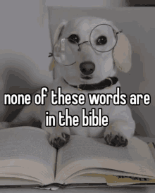 None Of These Words Are In The Bible GIF