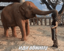 слоник слон иди обниму обнимать объятия хобот GIF - Elephant Hug Cuddle GIFs