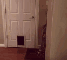 Pintar Tapi Bodoh GIF - Cat Open Door GIFs