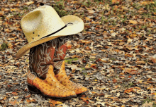 Cowboy Boots GIF