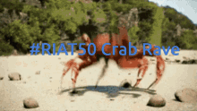 Favorite Riat50 GIF - Favorite Riat50 Crab Rave GIFs