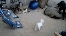 Not In My House! GIF - Dog Vaccum Bark GIFs