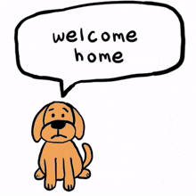 welcome home welcome back yayyourehome ilovemydog doglover