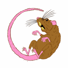 rat rat race bored tired