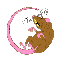 Rat Rat Race Sticker - Rat Rat Race Bored Stickers