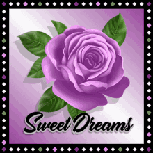 Sweet Dreams Goodnight GIF - Sweet Dreams Goodnight Purple Rose GIFs
