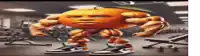 a cartoon orange with muscles and a face is standing in a gym .