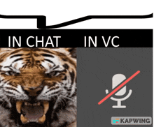 Discord Meme Chat Vc GIF
