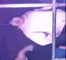 a close up of a person 's face behind a glass cage .