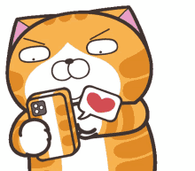 mochi mochidad cat gato love